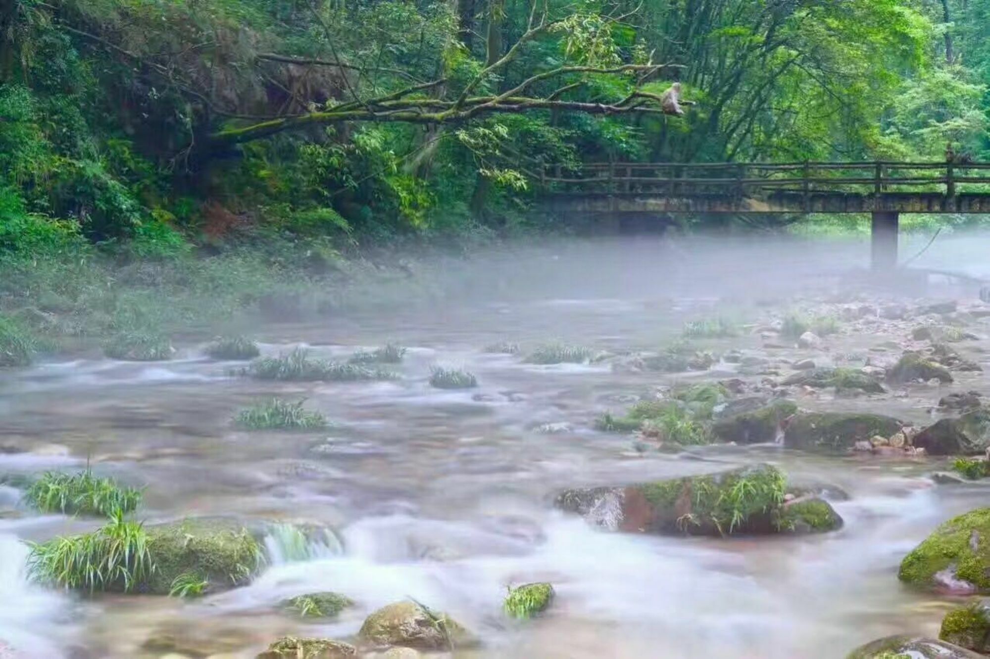 Zhangjiajie Yueranju Hostel 외부 사진